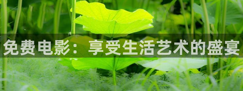 电影天堂2019