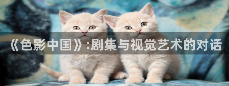 电影天堂免费电影