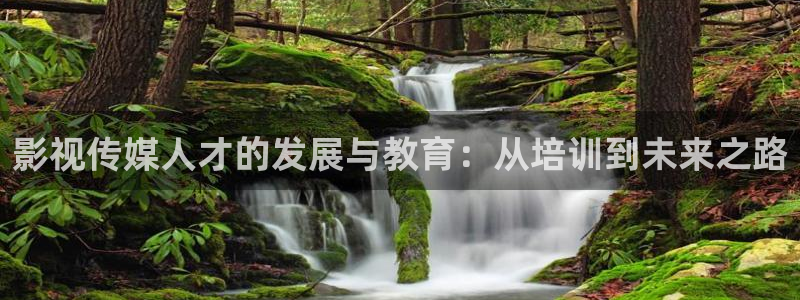 高清下载 电影天堂