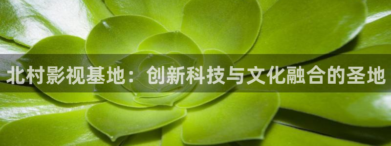 神马午夜电影天堂