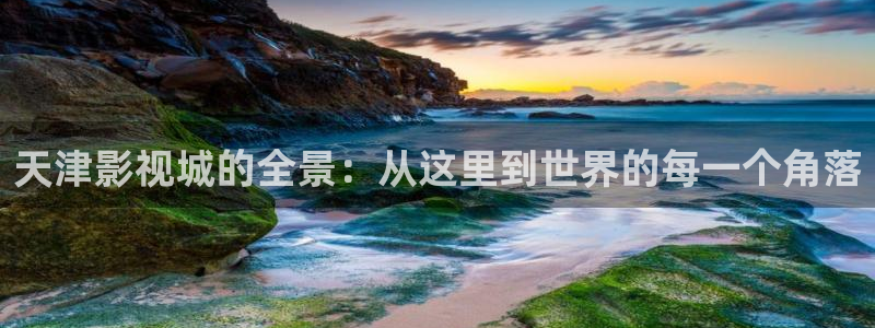 电影天堂将夜