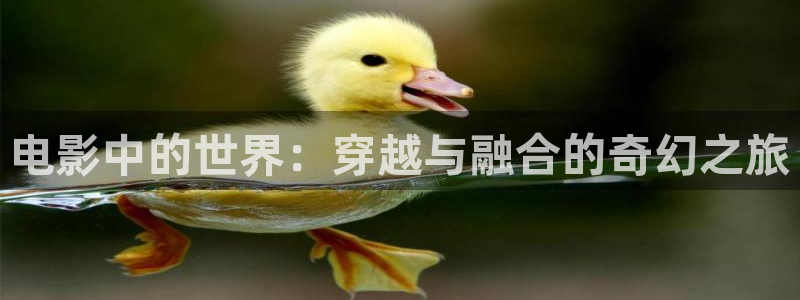 2013av电影天堂