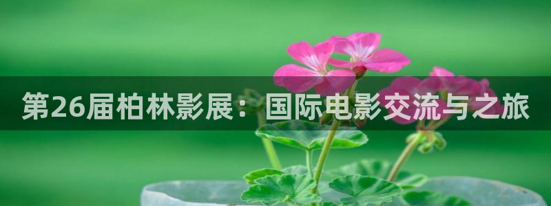 日韩亚洲天堂限制级电影
