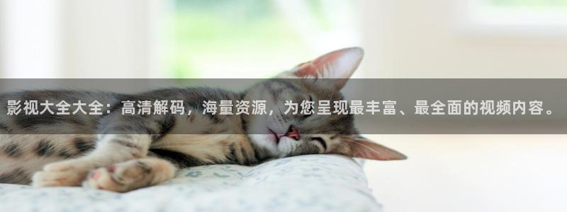 天堂的张望电影在线观看免费