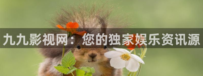 369电影天堂