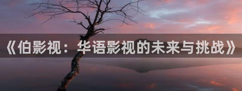 天堂阿av影院